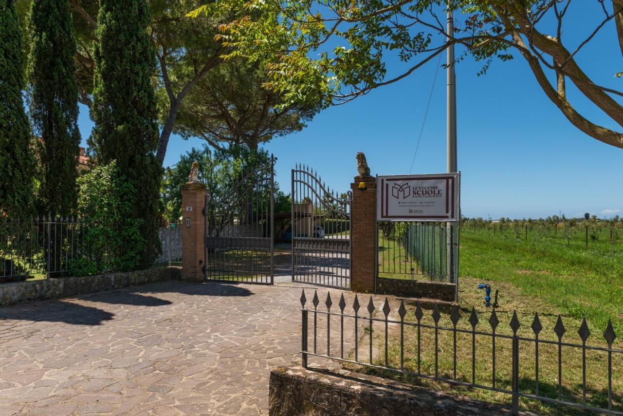 Agriturismo Le Vecchie Scuole Campiglia Marittima Buitenkant foto